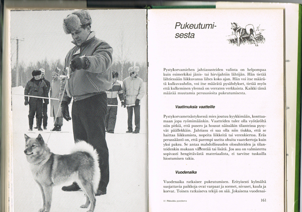финский шпиц в прошлом