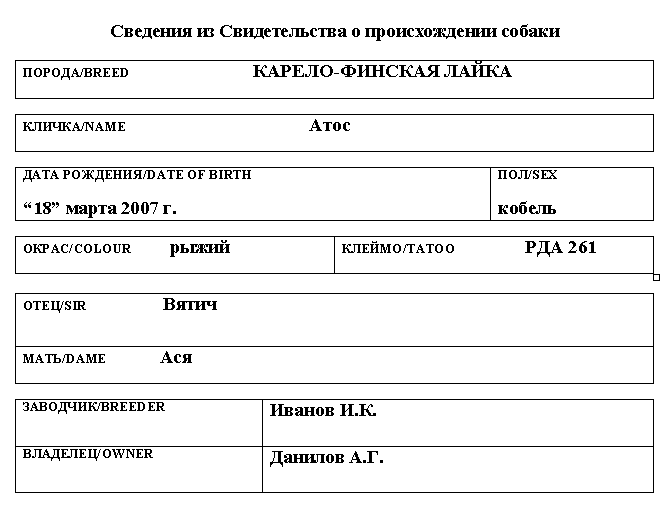 Карело-финская лайка_Атос
