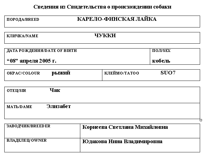Карело-финская лайка_Чукки