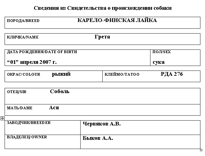 Карело-финская лайка_Грета