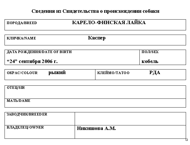 Карело-финская лайка_Каспер