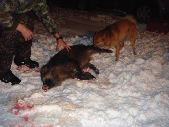 за попу.JPG