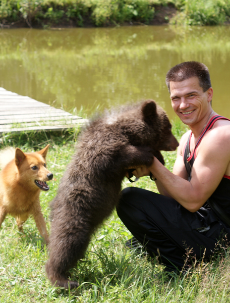 bear_stefanovich.jpg