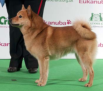 2011_FIN_BOB.jpg