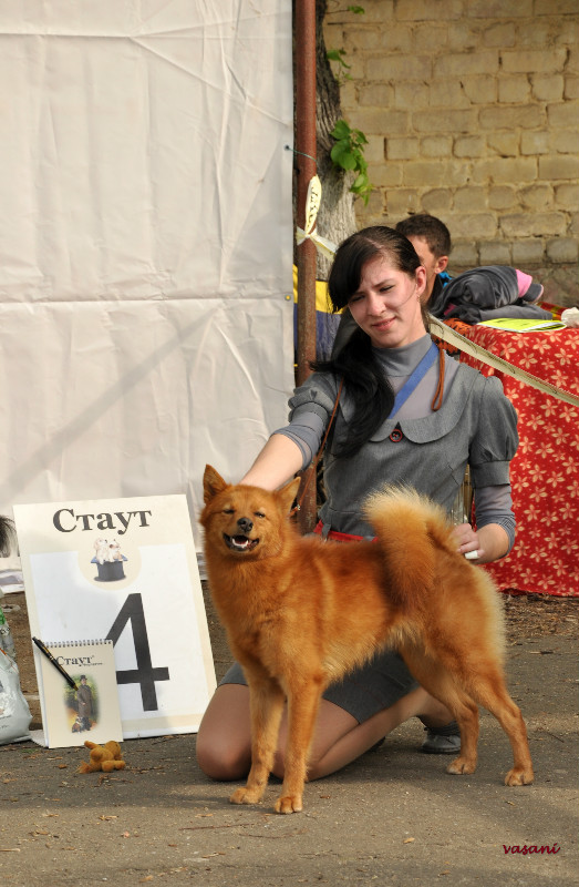 охотники 2012-5.jpg