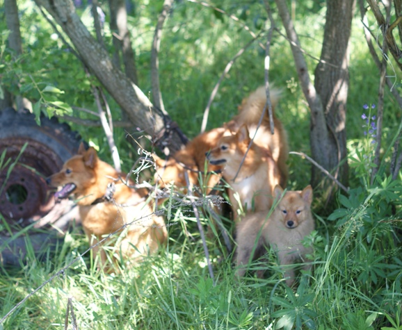DSC09703_f.jpg