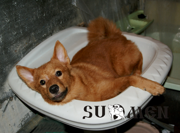 bath1.jpg