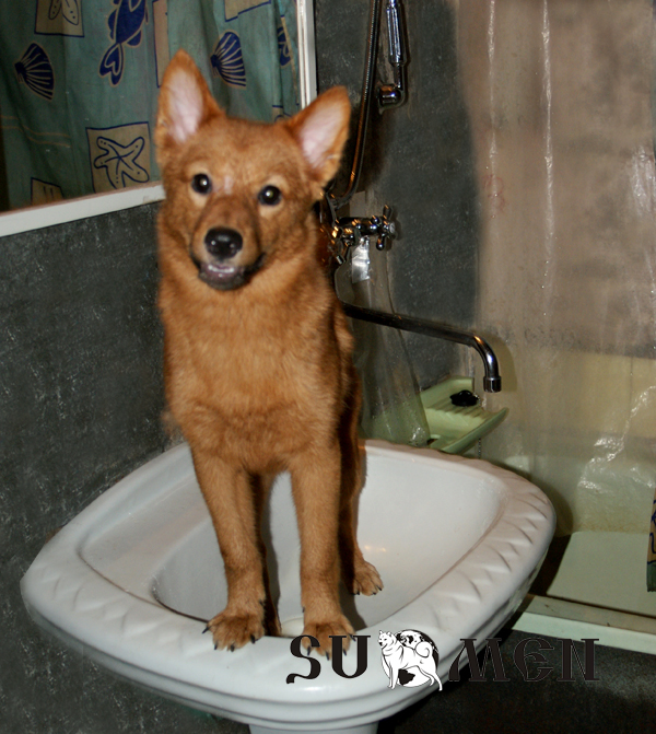 bath2.jpg