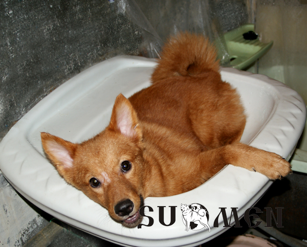 bath3.jpg