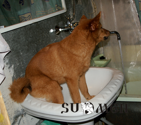 bath4.jpg