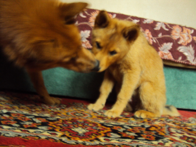 DSC09122.JPG