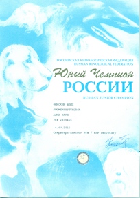 диплом юного чемпиона.jpg
