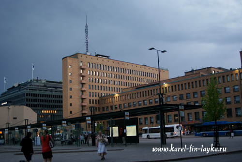 fin1.jpg