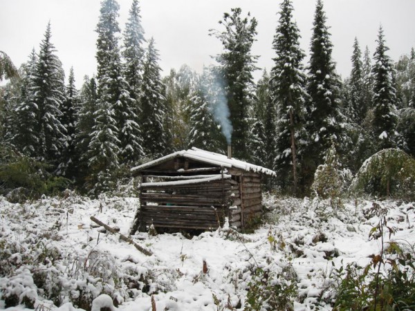 file_006.jpg