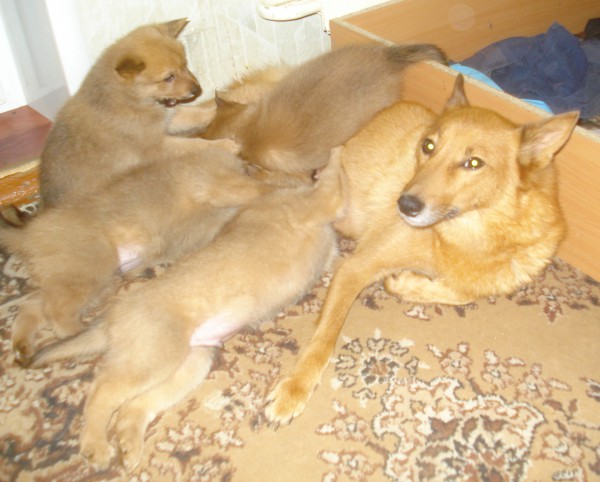DSC02786.JPG
