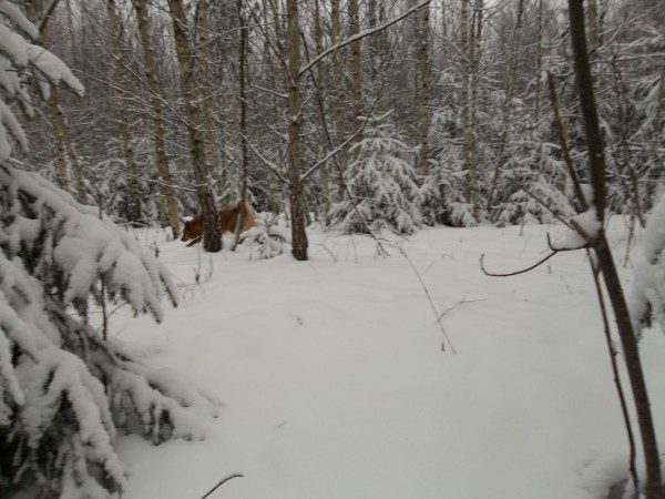100_0983_resize.JPG