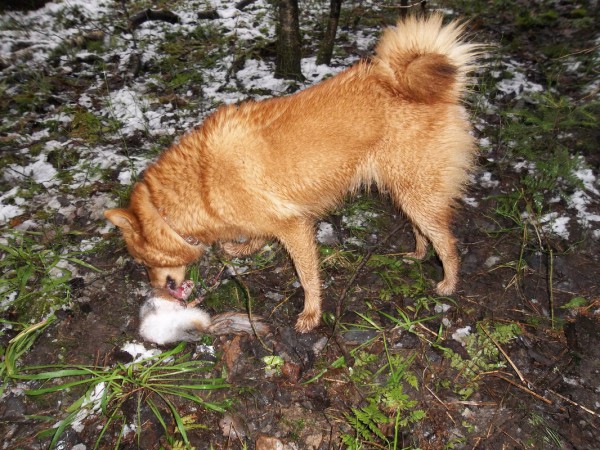 100_1098_resize.JPG