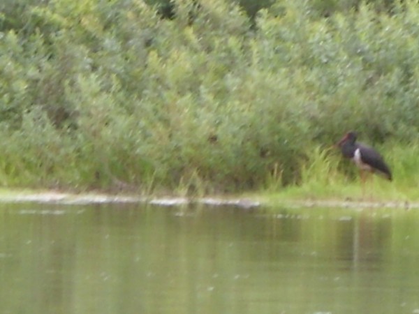 Сибирь 2008 август 051_resize.jpg