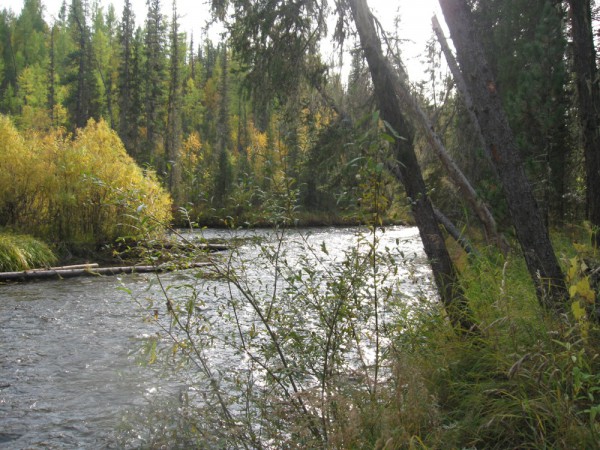 IMG_1027.JPG