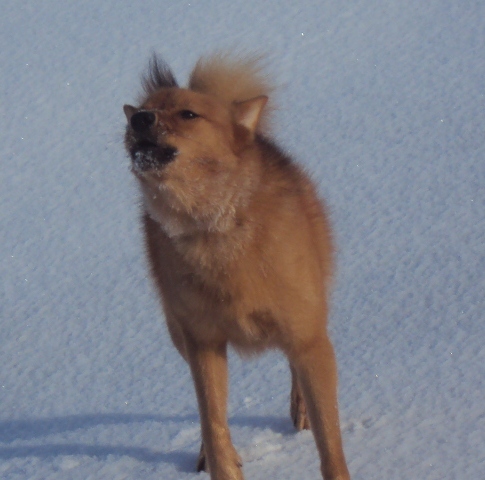 DSC01756.JPG