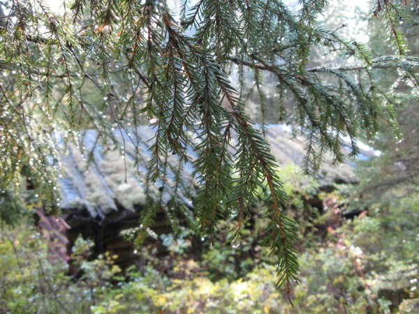 IMG_3258.JPG