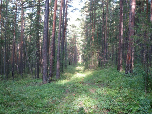IMG_3158.JPG