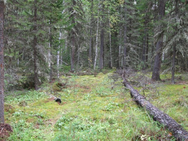 IMG_3179.JPG