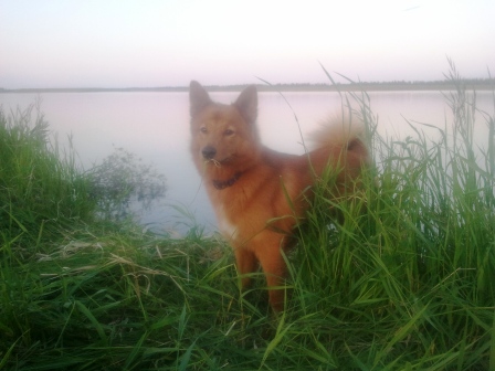 2013-06-23 21.49.17.jpg