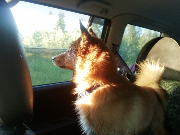 2013-07-01 20.57.04.jpg