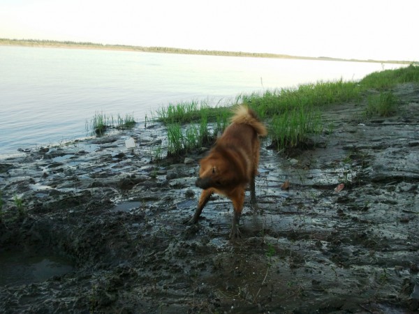 2013-07-01 20.50.23.jpg