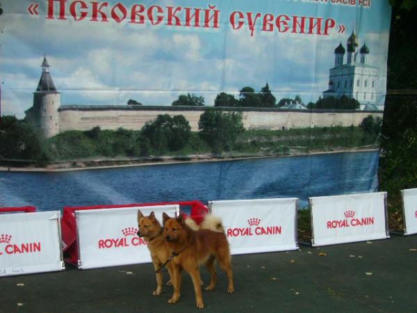 P1160077.JPG