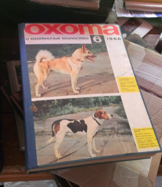 IMAG0340.jpg