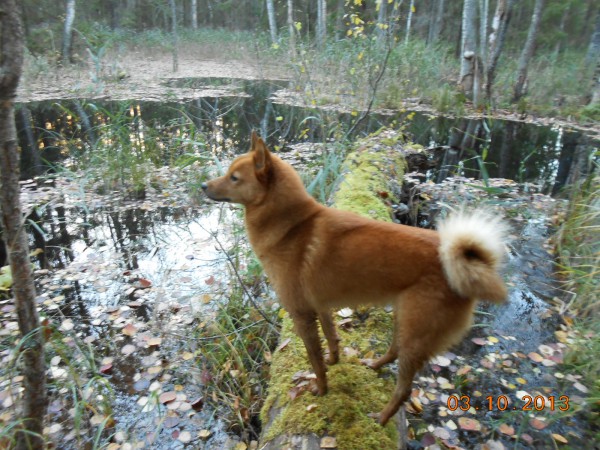 DSCN1831.JPG