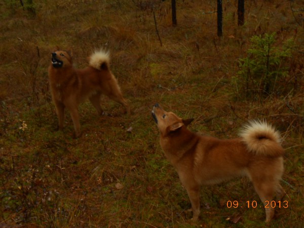 DSCN1853.JPG