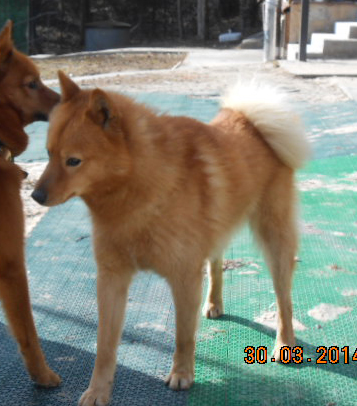 DSCN4269.JPG