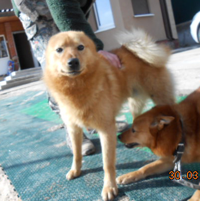 DSCN4292.JPG