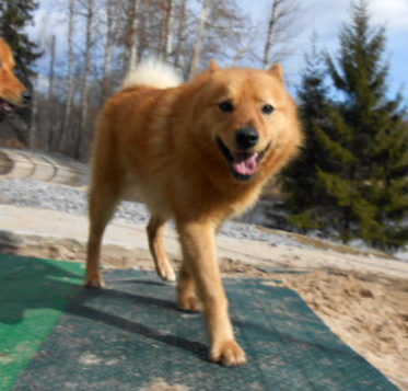 DSCN4330.JPG