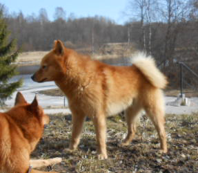 DSCN4336.JPG