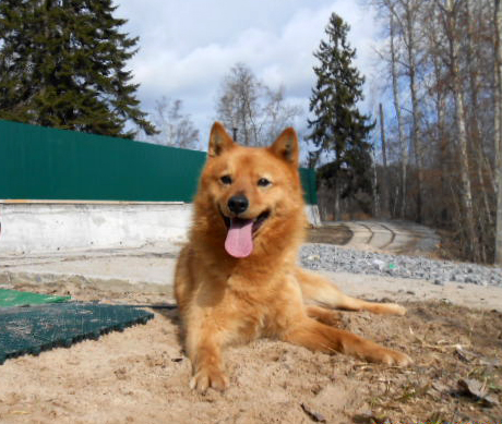 DSCN4338.JPG