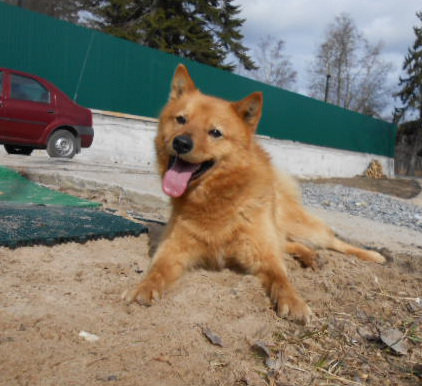 DSCN4343.JPG
