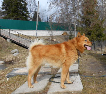 DSCN4376.JPG