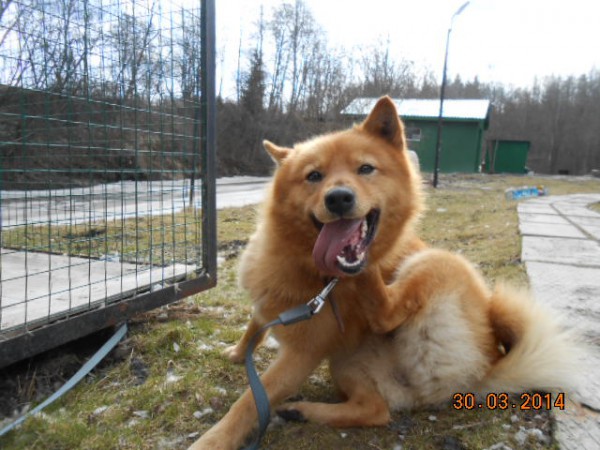 DSCN4380.jpg