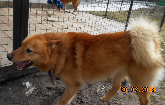 DSCN4389.jpg