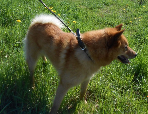 DSCN5209.JPG