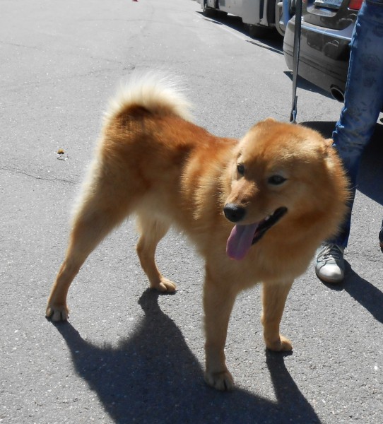 DSCN5226.JPG