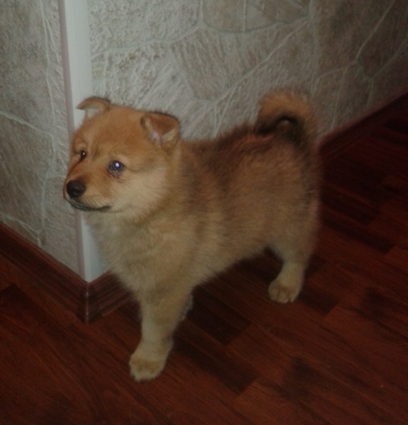 20140319_080014.jpg