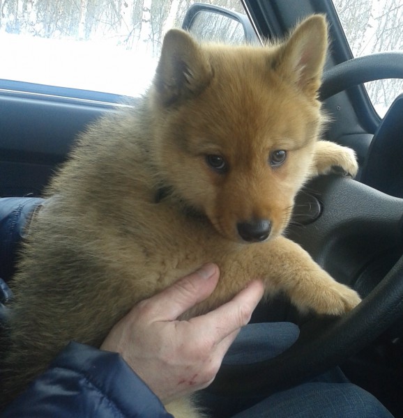20140406_132730.jpg