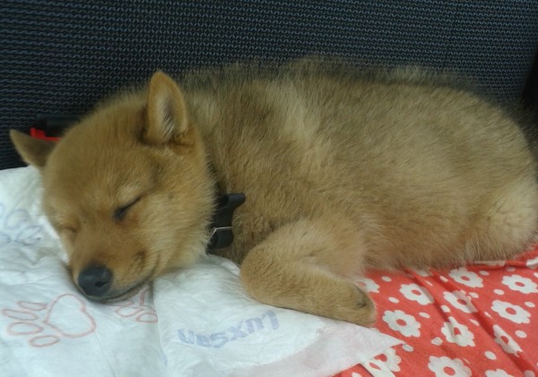 20140413_130412.jpg