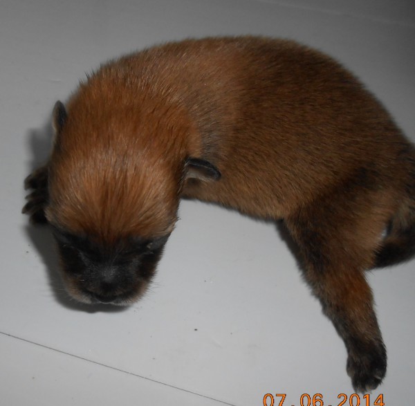 DSCN5987.JPG