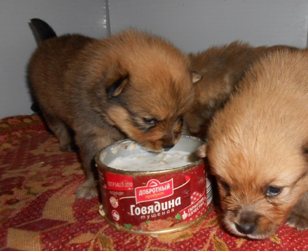 DSCN6339.JPG